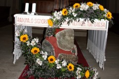 IMG_3553-FILEminimizer