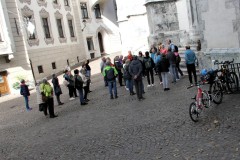 IMG_4784-FILEminimizer